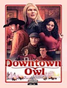 Downtown Owl 2024